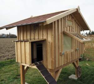 Hühnerstall JOSTuS 8 mit 4 Füße für 8 Hühner