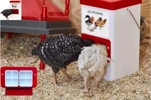 Hühner-Doppelfutteranschluss DIY-Bausatz 4