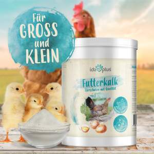 Premium Futterkalk mit Kalzium für Hühner - 1 Kg