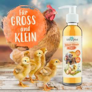 Hühner-Vitamin 4in1 – Vitaminkonzentrat mit Vitamin ADEC für starke Abwehrkräfte - 200 ml